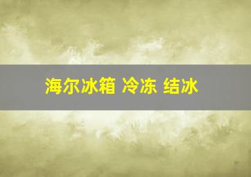 海尔冰箱 冷冻 结冰